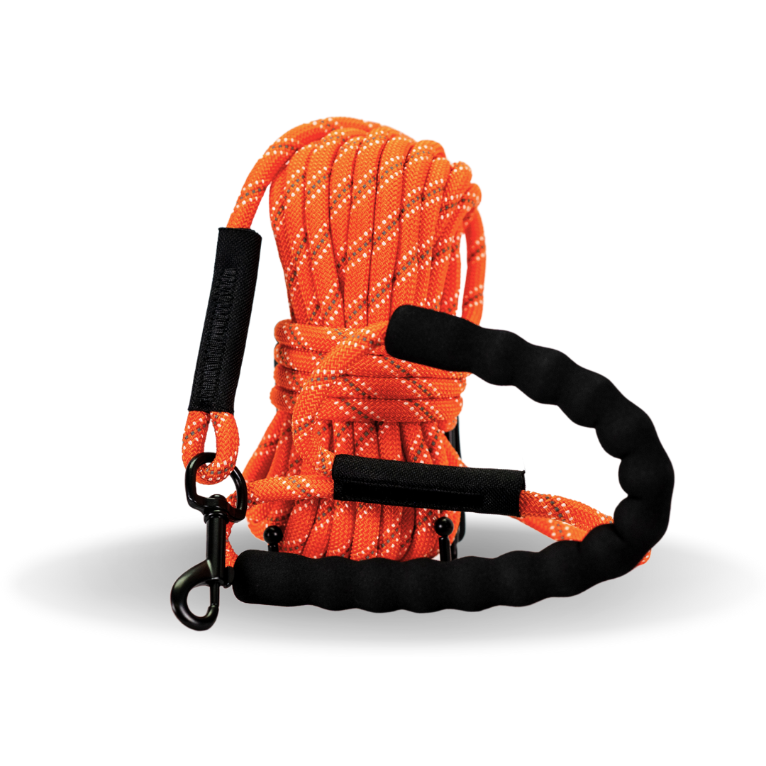 Pack Perro - Correa 10m + Juguete + Collar + Bebedero + Funda coche