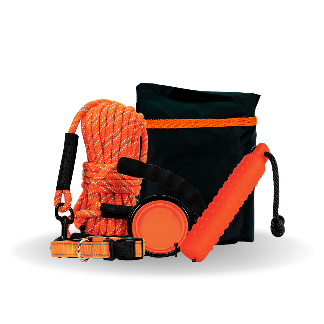 Pack Perro - Correa 10m + Juguete + Collar + Bebedero + Funda coche