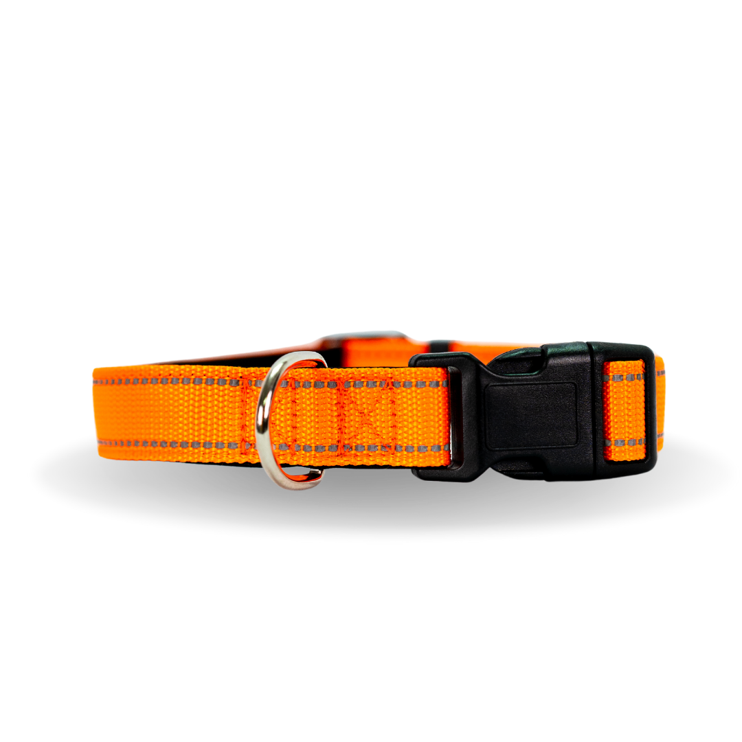 Collar Reflectante Perro