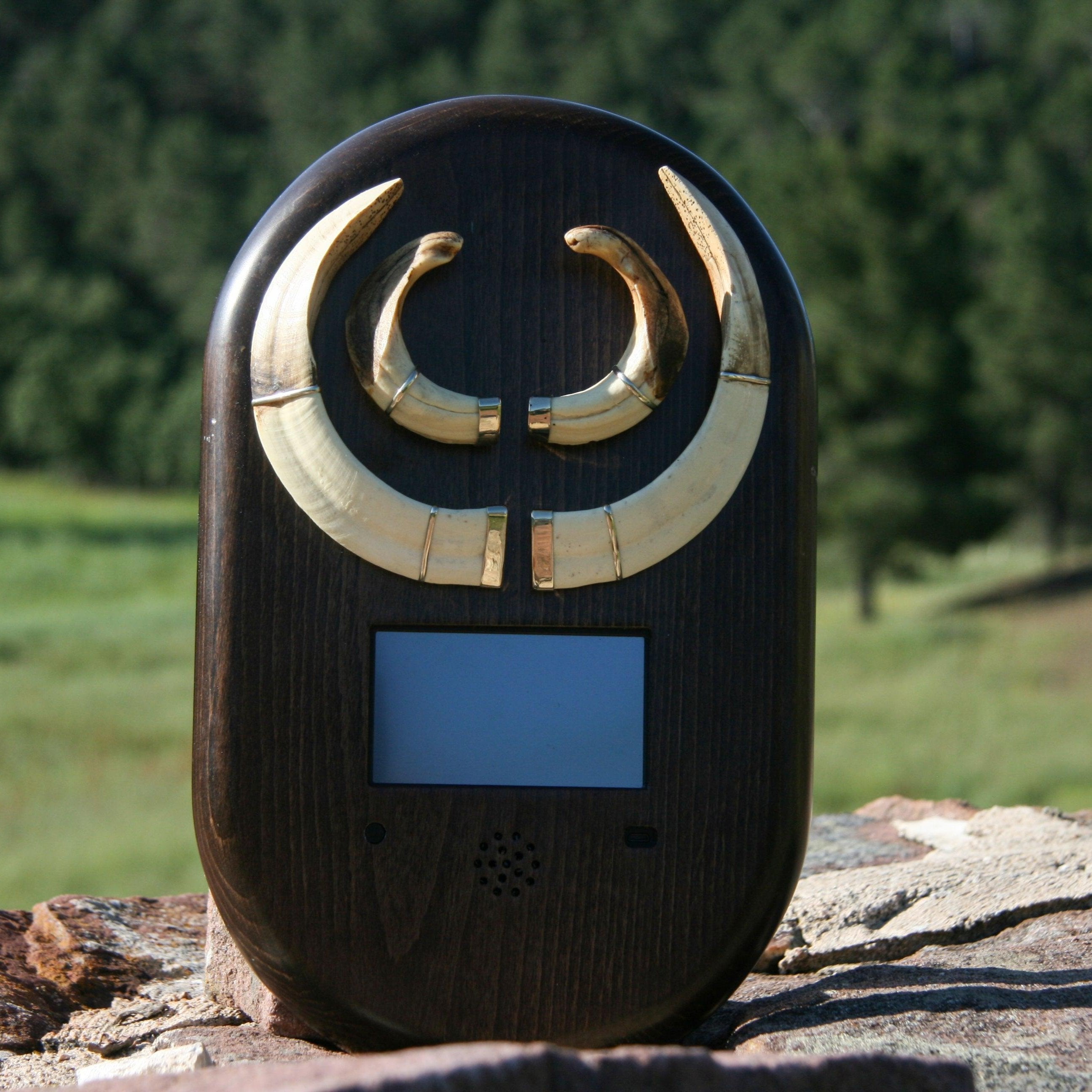 Wildscreen Duca.